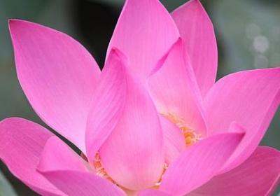 老丈人生日祝福语(推荐50句)