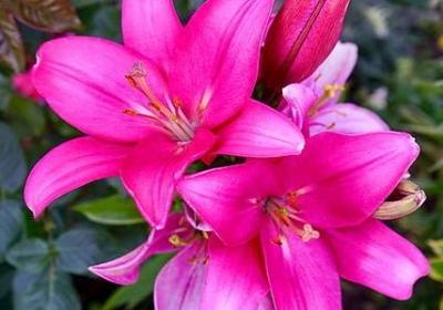 网红祝福语(合集80句)