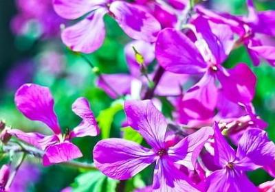 给自己生日快乐祝福语(精选50句)