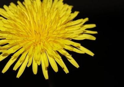 美容院祝福语(实用40句)