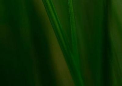 给高中生的祝福语(共40句)