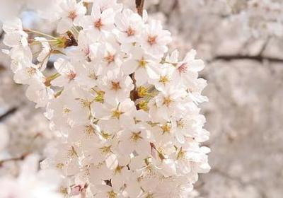 老公开车出门祝福语(优选50句)