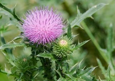 给病人的祝福语(通用50句)