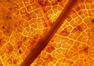 老师生小孩祝福语(共40句)