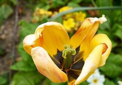 老师的祝福语(实用90句)