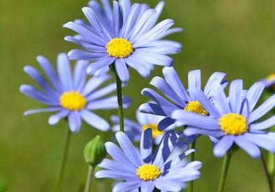 给老同学的祝福语(推荐60句)