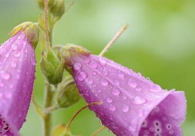 老师对学生的祝福语(必备40句)