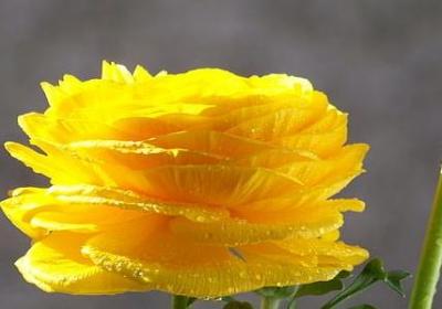 老兵退伍祝福语(汇总50句)