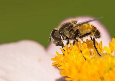 给男生的祝福语(实用60句)