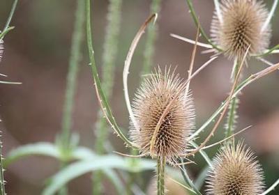 老人死后祝福语(必备60句)
