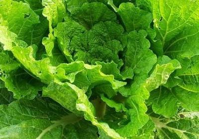 老公的生日祝福语怎么写(汇总70句)