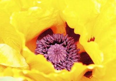 给领导祝福语简单大气(合集60句)