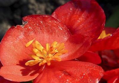 老婆送老公生日祝福语(实用50句)