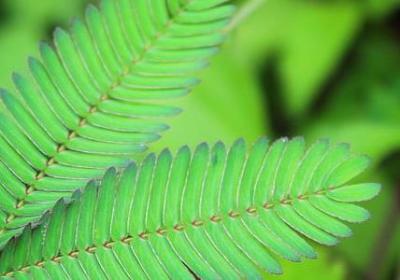 老师对幼儿生日祝福语(合集60句)