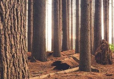 老妈六十岁生日祝福语(合集17句)