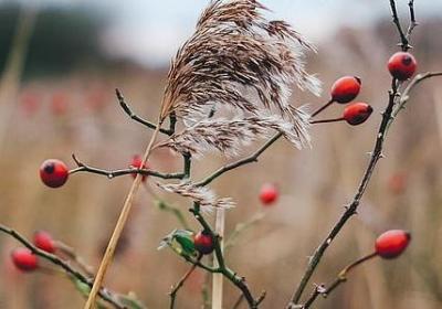 老婆祝老公生日祝福语(合集50句)