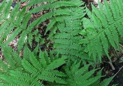 老公生日祝福语大全(40句)