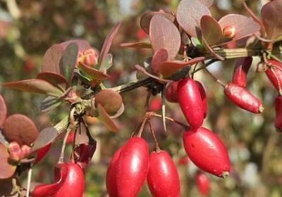 美容院开业贺词祝福语(实用40句)