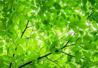 给自己的祝福语(50句)