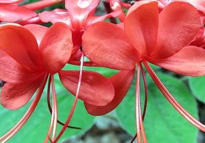 给长辈的祝福语(实用60句)