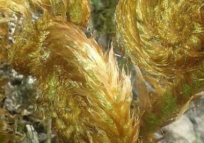 给爸爸的祝福语(推荐60句)