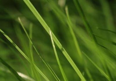 给闺蜜18岁生日祝福语(合集8句)