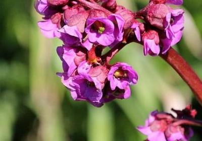 老公买新车的祝福语(推荐60句)