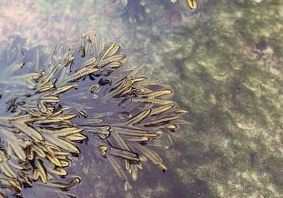 老公36岁生日祝福语(优选50句)