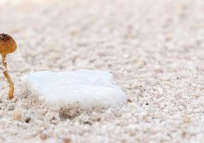 美女的祝福语(精选50句)