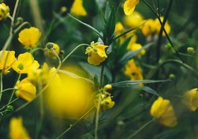 给老师的祝福语英语(推荐80句)