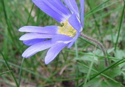 美女祝福语(通用50句)