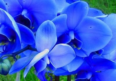 给领导送行的祝福语(优选40句) 给领导送行的祝福语(优选40句)