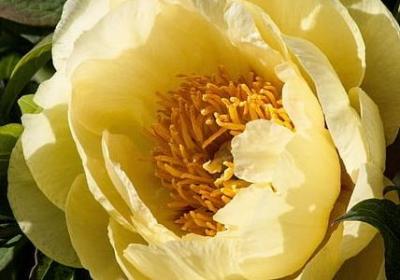 老公的生日祝福语(共40句) 老公的生日祝福语(共40句)