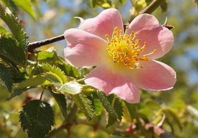 给长辈的祝福语简短(通用69句) 给长辈的祝福语简短(通用69句)