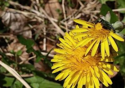 老婆生日送花祝福语(精选60句) 老婆生日送花祝福语(精选60句)