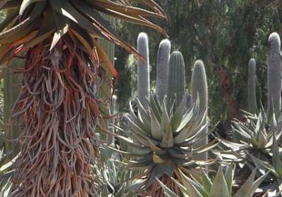 美容院开业祝福语(通用10句) 美容院开业祝福语(通用10句)