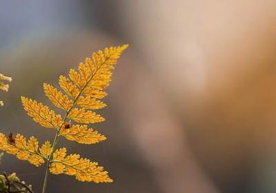 给老弟的生日祝福语(精选40句) 给老弟的生日祝福语(精选40句)