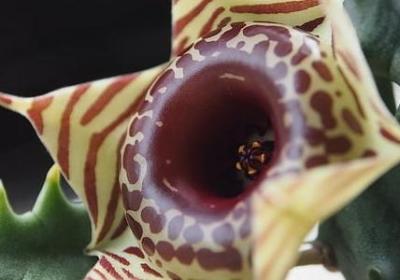 给老婆的祝福语(推荐40句) 给老婆的祝福语(推荐40句)