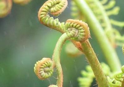 老人生日祝福语 简短独特(通用75句) 老人生日祝福语 简短独特(通用75句)