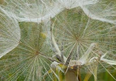 给老师同学的祝福语(实用60句) 给老师同学的祝福语(实用60句)