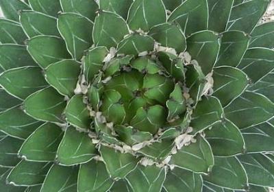 老同学生日祝福语短语(通用50句) 老同学生日祝福语短语(通用50句)