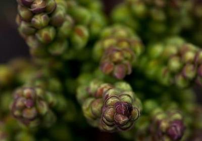 老人长寿祝福语(热门59句) 老人长寿祝福语(热门59句)