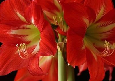 给男孩子的生日祝福语(共60句) 给男孩子的生日祝福语(共60句)