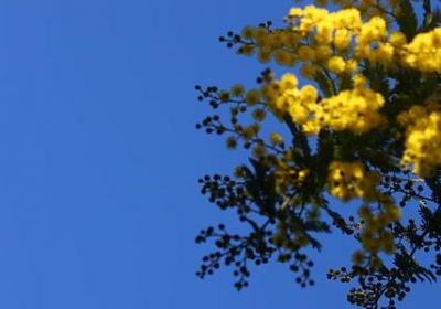 老公送给老婆的祝福语(汇总50句) 老公送给老婆的祝福语(汇总50句)