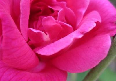 老婆婆过生日祝福语(实用38句)