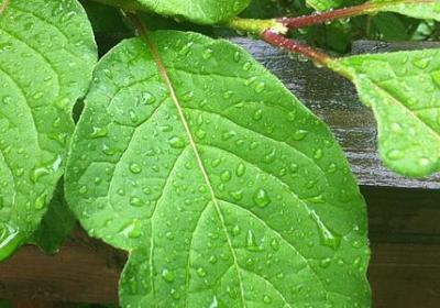 给高考学子的祝福语(共61句)