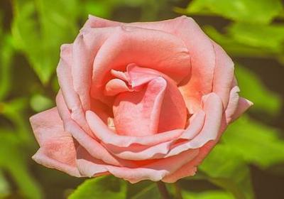 给男生的生日祝福语(通用47句)