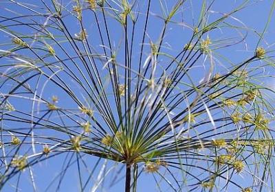 给生物老师的祝福语(16句)