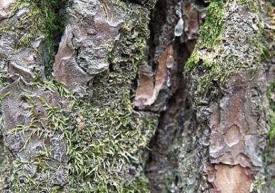 美好生活祝福语(共50句)