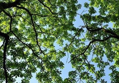 给老师的节日祝福语(热门50句)